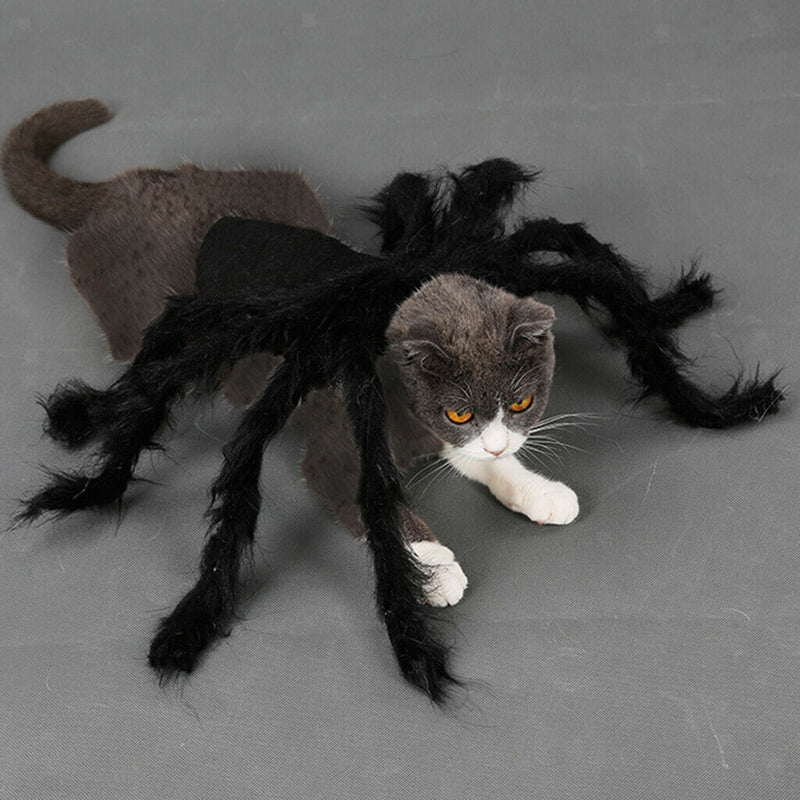 Pet Spider Harness Costume Halloween Holiday Party for Cat and Puppy - Small Pet