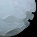 LED Glowing Streak Dog Ball Blinking Chew Toys Pet Toys Lights Up Supplies  R3Z6