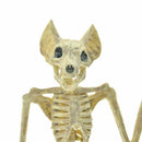 Bat Skeleton Hanging Upside Down Halloween Animal Prop B5O4 Decor House Hau X9T2