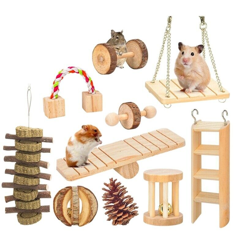 10 Pcs Set Hamster Chew Toys Natural Wooden Gerbils Rats Chinchillas Toys A