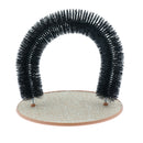 Gentle Fur Brushing for Cat Kitten Playing And Scratching