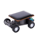 Solar Power Energy Frightened Grasshopper Insect Bug Locust