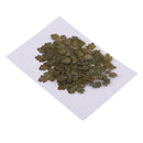 20 Pieces Green Natural Dried Flowers Pressed Leaf Leaves Thalictrum Plants