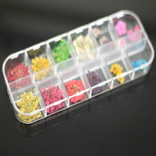 60pcs Real Dry Dried Big & Small Flowers For  Nail art Tips Decoration Fashion