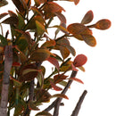 2Pcs Aquarium Reptile Turtle Frogs Rainforest Habitat Kit Artificial Plant