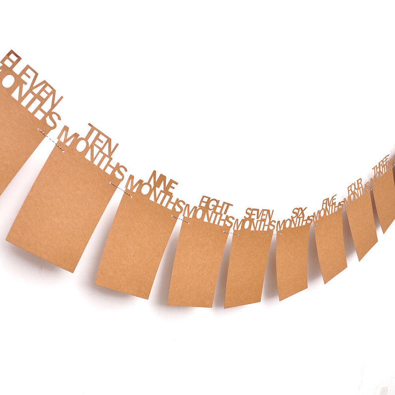 1-12 Months Baby 1st Birthday Photo Frame Shower Bunting Banner Party Decor DIY