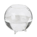 6x Glass Flower Vase Hydroponic Pot DIY Micro Landscape Terrarium Container