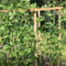 1Pcs Grow Frame Flower Vine Garden Weaving Plant Climbing Net Vegetable Pol