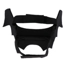 Pet Cats Bat Wings Kittens Black Bat Transfiguration Halloween Cat Costume