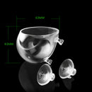 Aquarium Fish Tank Live Plants Cup Growing Pot Aquatic Landscape Holder S ZTU