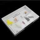 Lifecycle of Silkworm Specimens Taxidermy Framed Collectible, 7.5x5x1.2inch