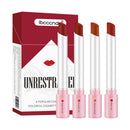 Matte Lipstick Set(4 Pieces), Waterproof & Long Lasting Velvet Lip Gloss