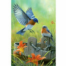 5D Diamond Painting Full Drill Embroidery Cross Stitch Kits 2 Bird Home Dec
