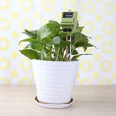 Soil Moisture PH Meter Plant Flowers Soil Digital Analyzers Tester Detector