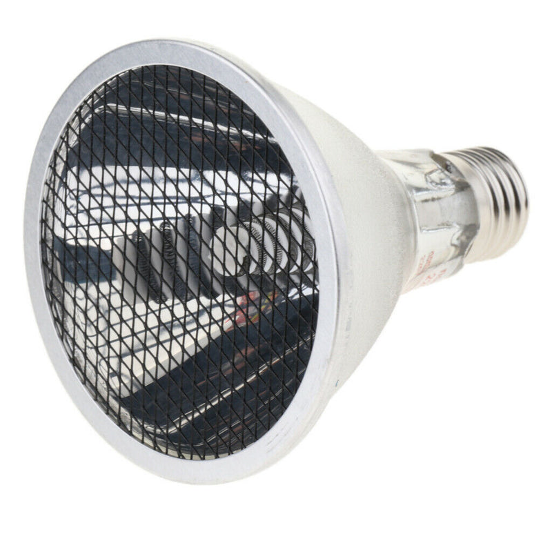 Reptile Amphibian Turtle Lizard Chameleon Heating Lamp Ceramic Heater Light 100W