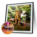 5D DIY Diamond Painting Full Drill Lion Zoo Embroidery Cross Stitch Kit Art