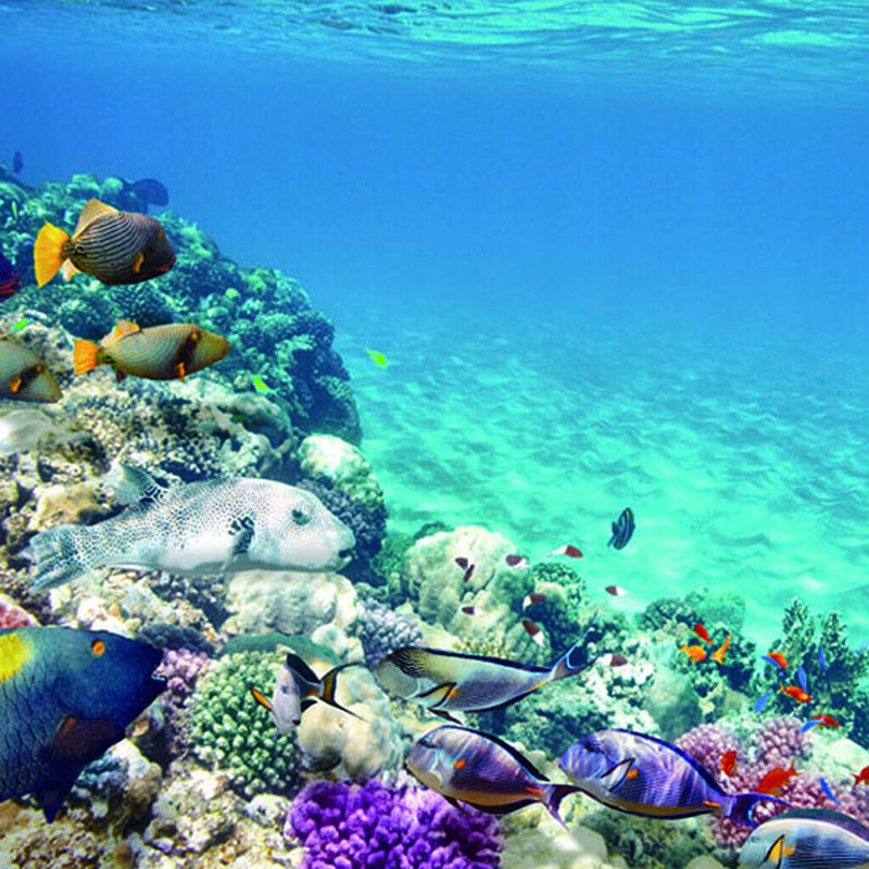 2 Pieces Decorative Aquarium Background Poster Fish Tank Backdrop Vivid