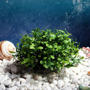 Artificial Water Grass Seeding Turtles Fish Tank Plants for Aquarium Decor