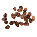 50 Pieces Natural Decorative Pine Cones Pinecone Dried Flowers for Christmas