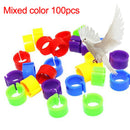 100pcs Bird Rings Leg Bands for Pigeon Parrot Finch Canary Poultry Rings Cool