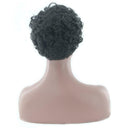 High Temperature Fiber Short Curly Wigs Women Daily False African Hairstyle