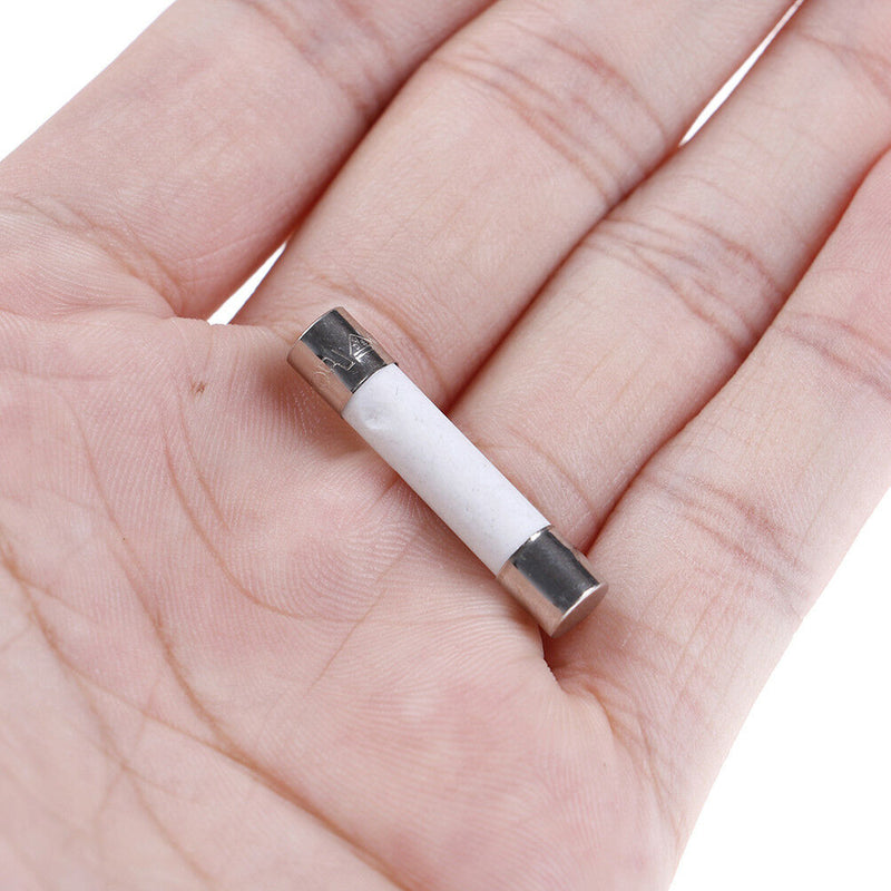 10 Pcs Microwave Ceramic Fuse Electric 20A 250V Home Supplies DIY 6x30mm.ftL Ew