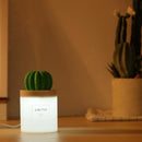 USB Aroma Essential Oil Diffuser Ultrasonic Humidifier Air Purifier LED lS Hn