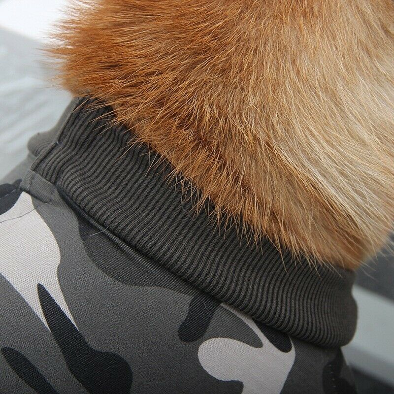 Recovery Suit Dog Puppy Medical Care Suit Clothing and After Surgery Wear A