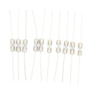 10pcs Glass Tube Fuse Axial Leads 3.6*10mm 1A Slow Blow FT