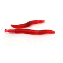 200Pcs Soft Plastic Red Earthworm Fishing Bait Scent Worm Lures Hooks Tack NDR