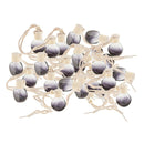 25x Fragrance Bottle Dispenser Holder With Rope 10ml For Car Ornament Ball