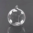 Hanging Glass Flower Vase Bottle Hydroponic Terrarium Container Decor - 15c J3M3
