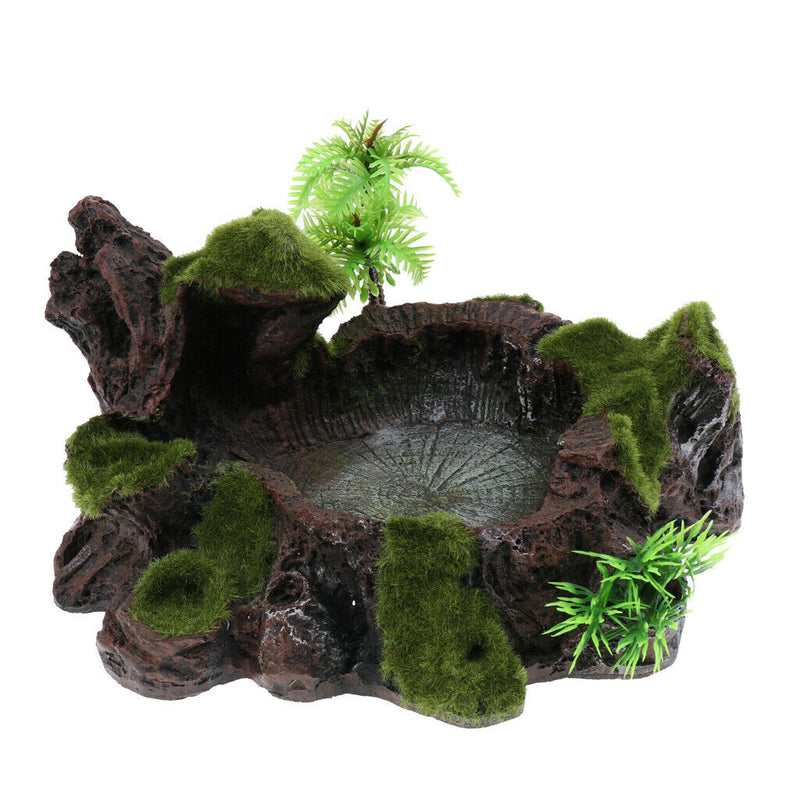 Plant Moss Decor Reptile Feeding Bowl Tortoise Gecko Bearded Dragon Water Dish