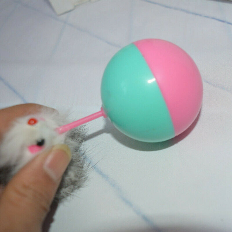 Durable Pet Cat Toys Mimi Favorite fur Mouse Tumbler Plastic Toys Balls for P2G6