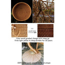 Woven Storage Basket Rattan Basket Desktop Storage Woven Basket Wicker Bask A5S3