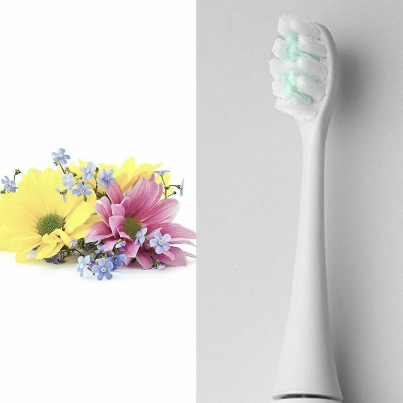 SmartSonic+ Sonic vibration electric toothbrush head, Electric toothbrush r K1Z2