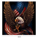 5D DIY Full Drill Diamond Painting Eagle Flag Cross Stitch Embroidery Kit
