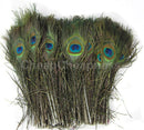 50Pcs Natural Peacock Feathers 25-30cm Long Jewelry Feathers Jewelry 2018J!E