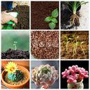 70% Wettable Fungicide Soil Disinfectant Plant Sterilization Growth Regul N3C