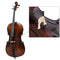 Professional Cello Bridge For 3/4 Size Cello Exquisite Maple Material