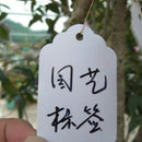 100pc Waterproof Strip Line Gardening Label Sign Plant Hanging Tag Set