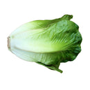 2pc Imitation Vegetables Cabbage& Lettuce Store Cabinet Display Food-
