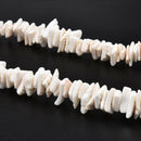 Bohemian White Conch Clam Chips Necklace Collar Choker Beach Charm Jewelry Gifts