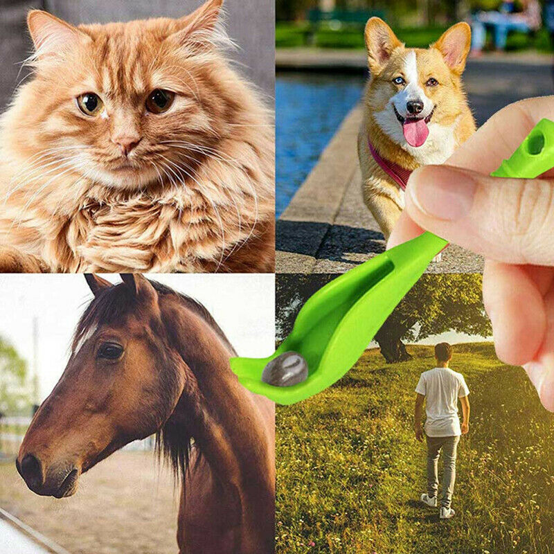 Pet Cleaning Tool Tick Extractor Pet Lice Remover Crawling Tool Take Tick Ho Gw