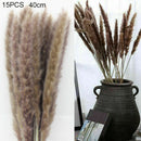 30Pcs Natural Dried Pampas Grass Reed Flower Home Wedding Bunch Bouquet Decor #