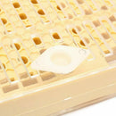 155pcs plastic Queen Rearing System Cultivating Box Cell Cups Bee Catcher C