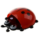 Convenient Bathroom Toothbrush Stuff Ladybug Wall Suction Holder-Red
