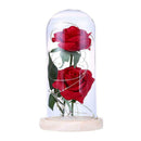 Beauty Rose and Beast Led Light With Fallen Flower Petals in a Glass Dome O