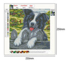 5D DIY Full Drill Diamond Painting Dog Cross Stitch Embroidery Mosaic Kit