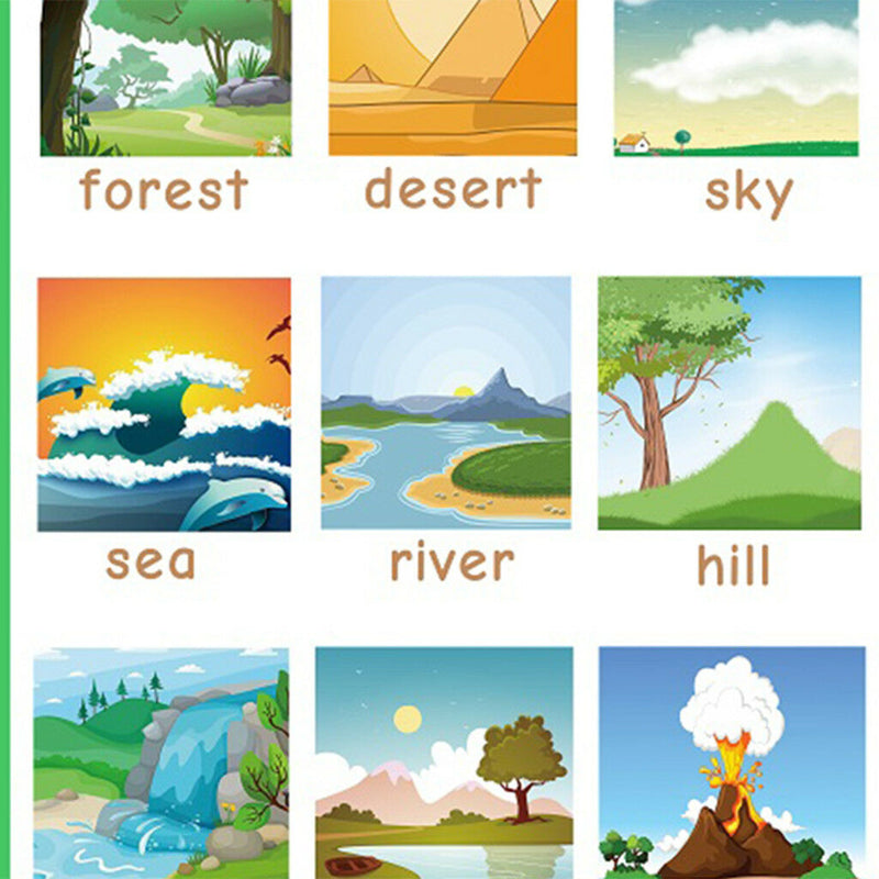 Birds &Nature~Kindergarten Classrooms Early Learning Posters Chart